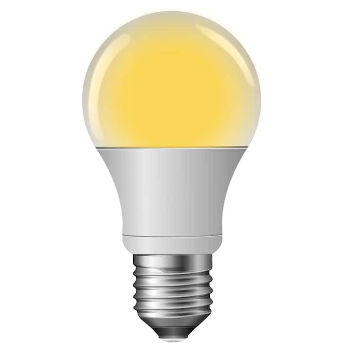 Specialty light bulb store near me hotsell